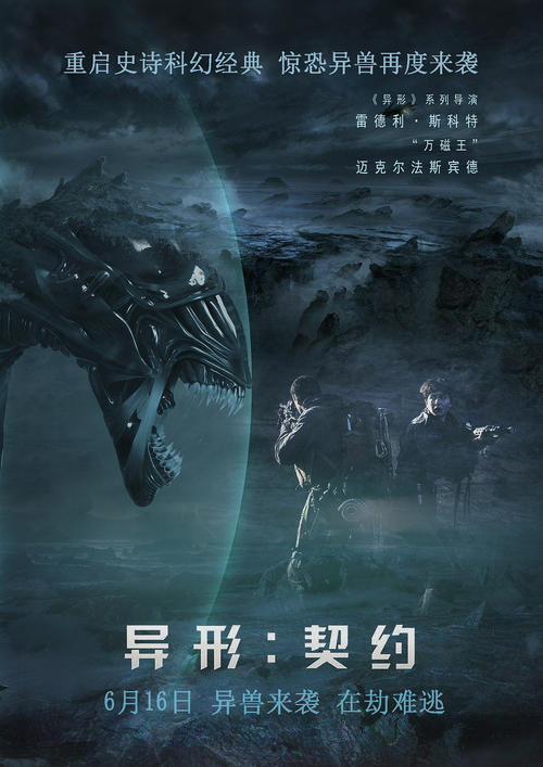 无犯罪公证书多少钱